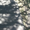 79