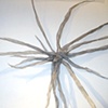 Tenacious Tendrils