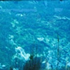 73