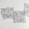 Thorny Trapezoid 5'wx2.5h