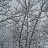 97