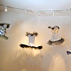 Bodices floating in the Gallery