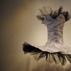 Bodice with quotes about beauty