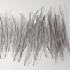 Petit Pods 2'w x 1'h