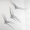 Flying Floating Freely 7' across