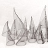 Cone Community from 3' x 8" d