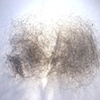 Cluttered Cloud