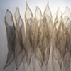 Pods