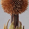 LURE (circium) detail