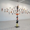Transform, Transport, Transpose - installation view
