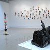 Transform, Transport, Transpose - installation view