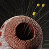 LURE (nepethese) detail