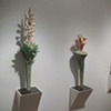 LURE (sempervivium), LURE (arisema), LURE (spinaflora)