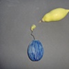 Botanical Duet No. 64