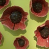 Papavar (detail)