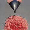 Botanical Duet No. 77