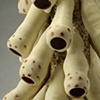 LURE (digitalis) detail