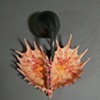 Botanical Duet No. 100