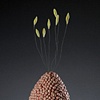 LURE (kernel) detail