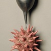 Botanical Duet Series