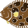 Fluke, Saugatuck Cup Fish Series