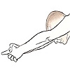 Tuladandasana
Balancing Stick Pose