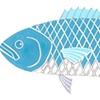 Bluefish, Saugatuck Cup Fish Series