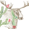 Holiday Card 2005