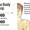 The Body Shop for Radar Magazine