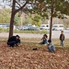 Black squirrel