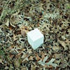 Zoe's ashes