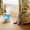 Humidifier