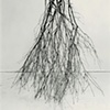 Dead bushes, cut down in front yard, very large and difficult to carry, reminiscent of several tee-pees built as a child