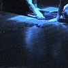 n = [phase 1] (still from Demo)