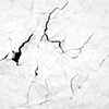 Untitled (drawing with a bull whip).