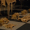 Anatomy is Destiny, The Wardrobe: A Game in Waiting.