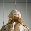 Study for a Rook's Garment (front view).