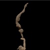 Circus