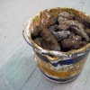 Sculptures
