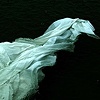 Ebb Series 