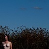 Parallel Series - Ongoing