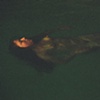 Water Series