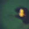 Water Series