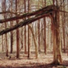 The limbs of a tree reached down and lifted me, thinking I was its child.