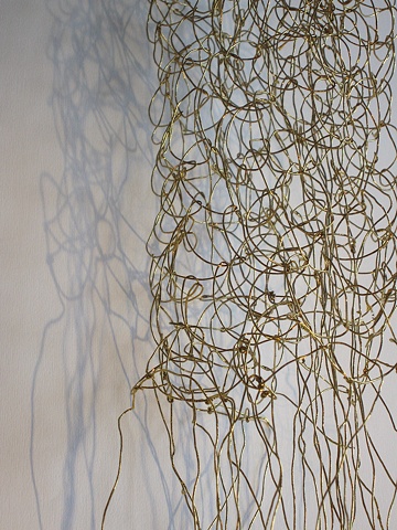 The Golden Net - detail