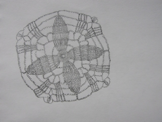 Doily Drawing
