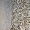 The Golden Net - detail