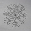 Doily Drawings