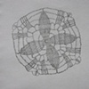Doily Drawing