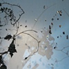 Magic Butterfly Installation